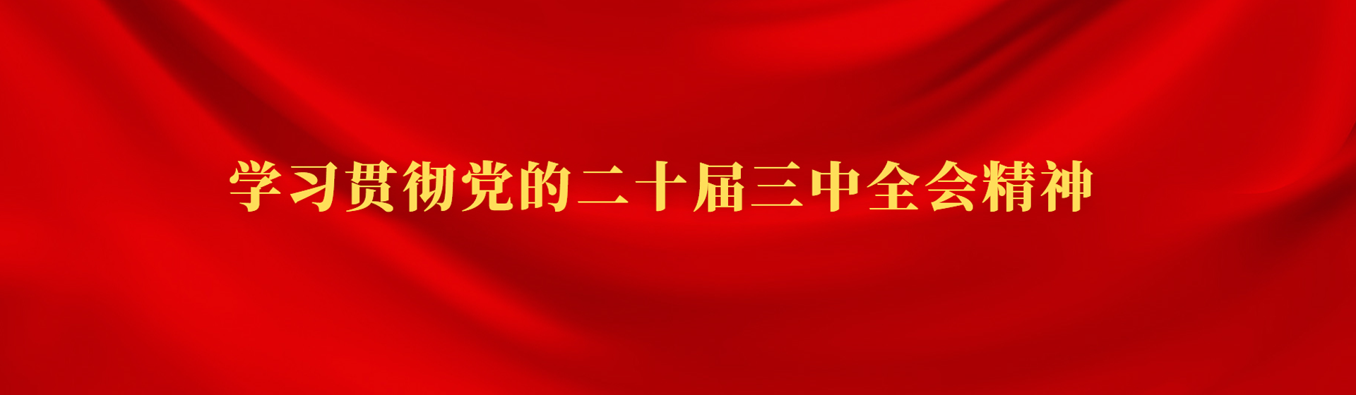 學(xué)習貫徹黨的二十屆三中全會(huì )精神